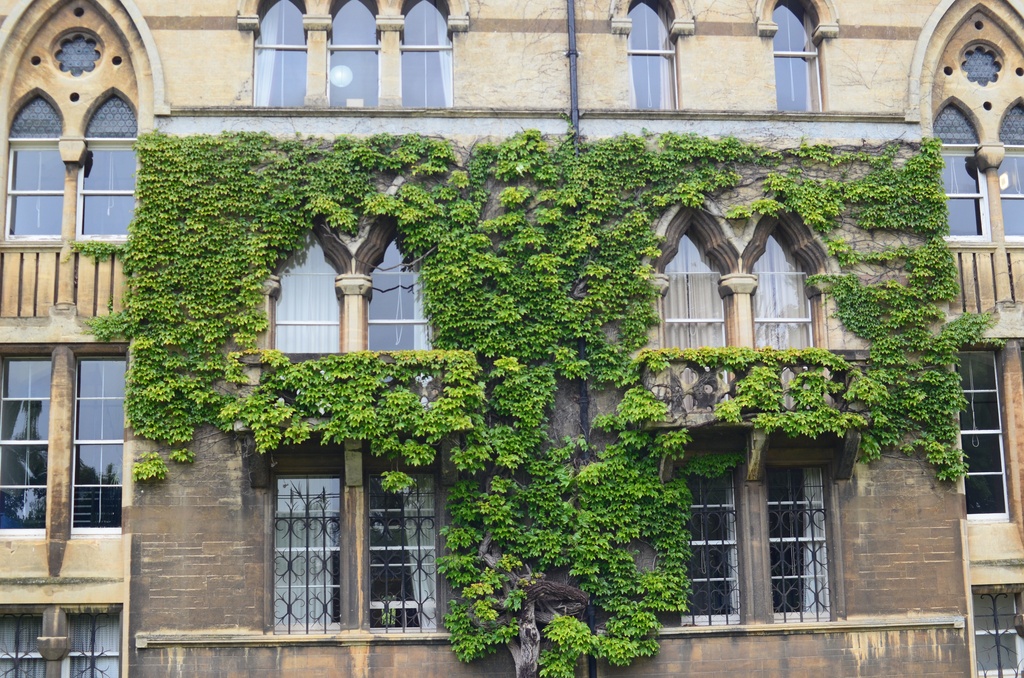 2014-06-07 Oxford/DSC_0185.JPG